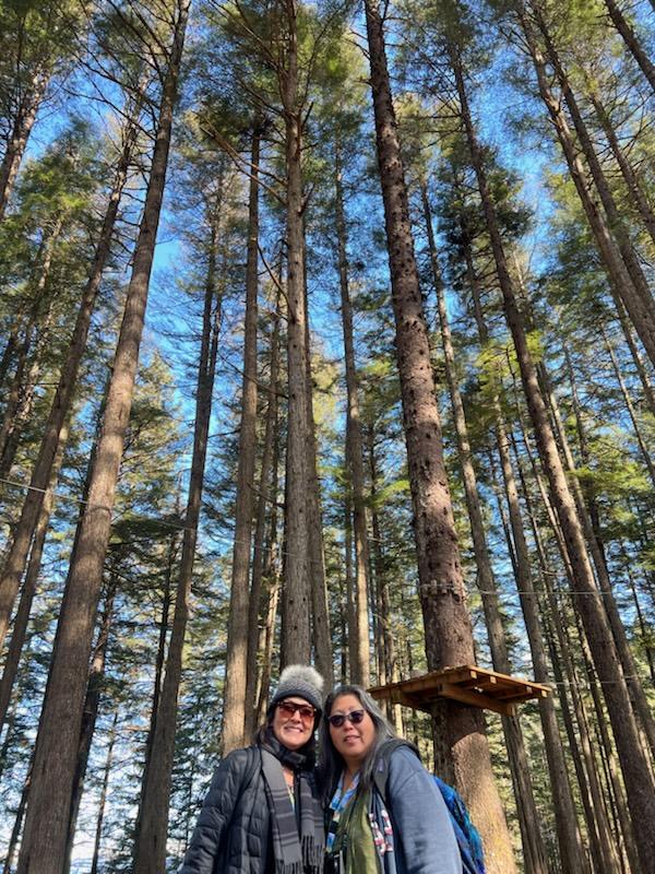 ICY STRAIT POINT NATURE WALK