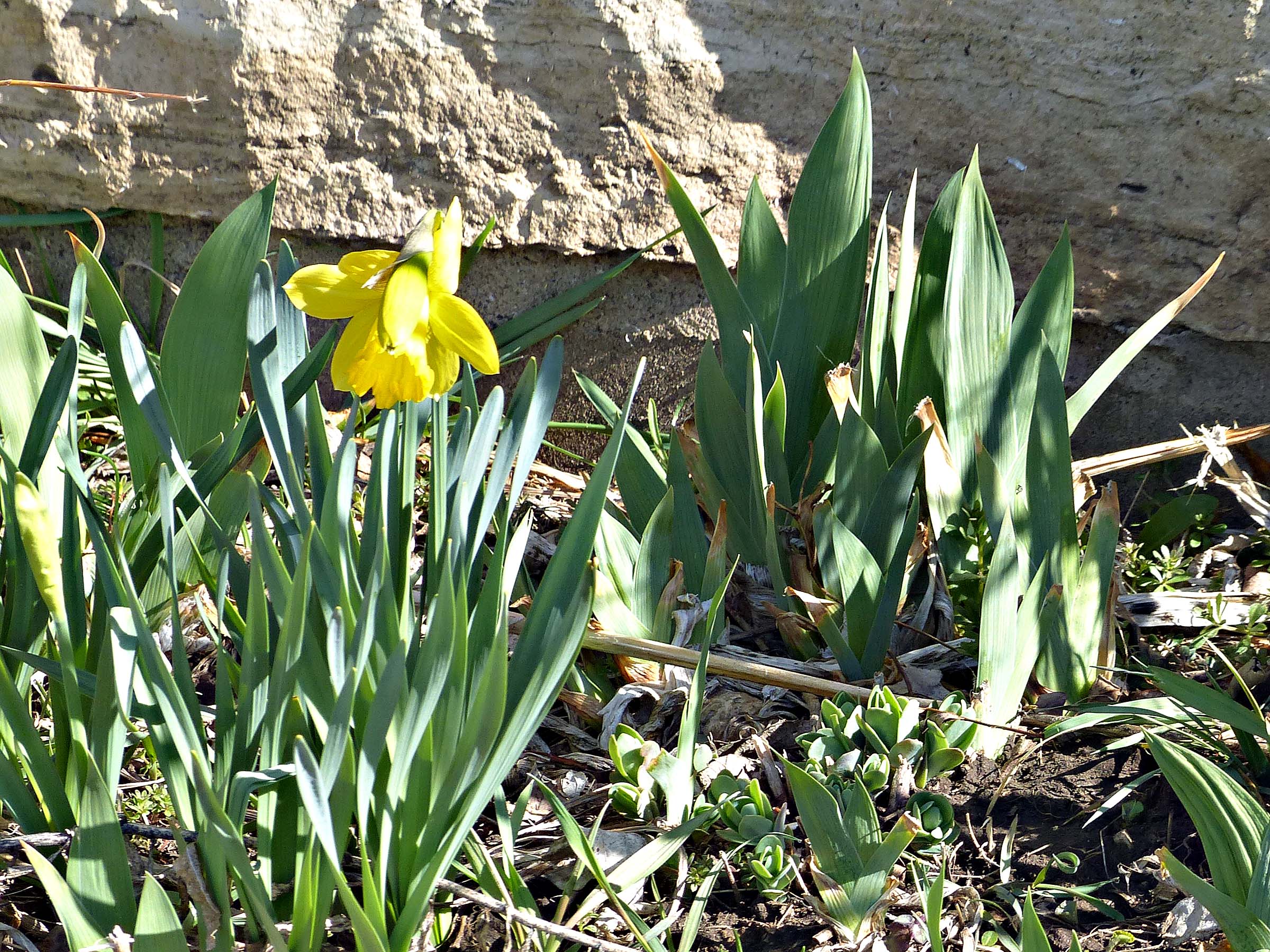 22 Mar Spring HAS arrived!