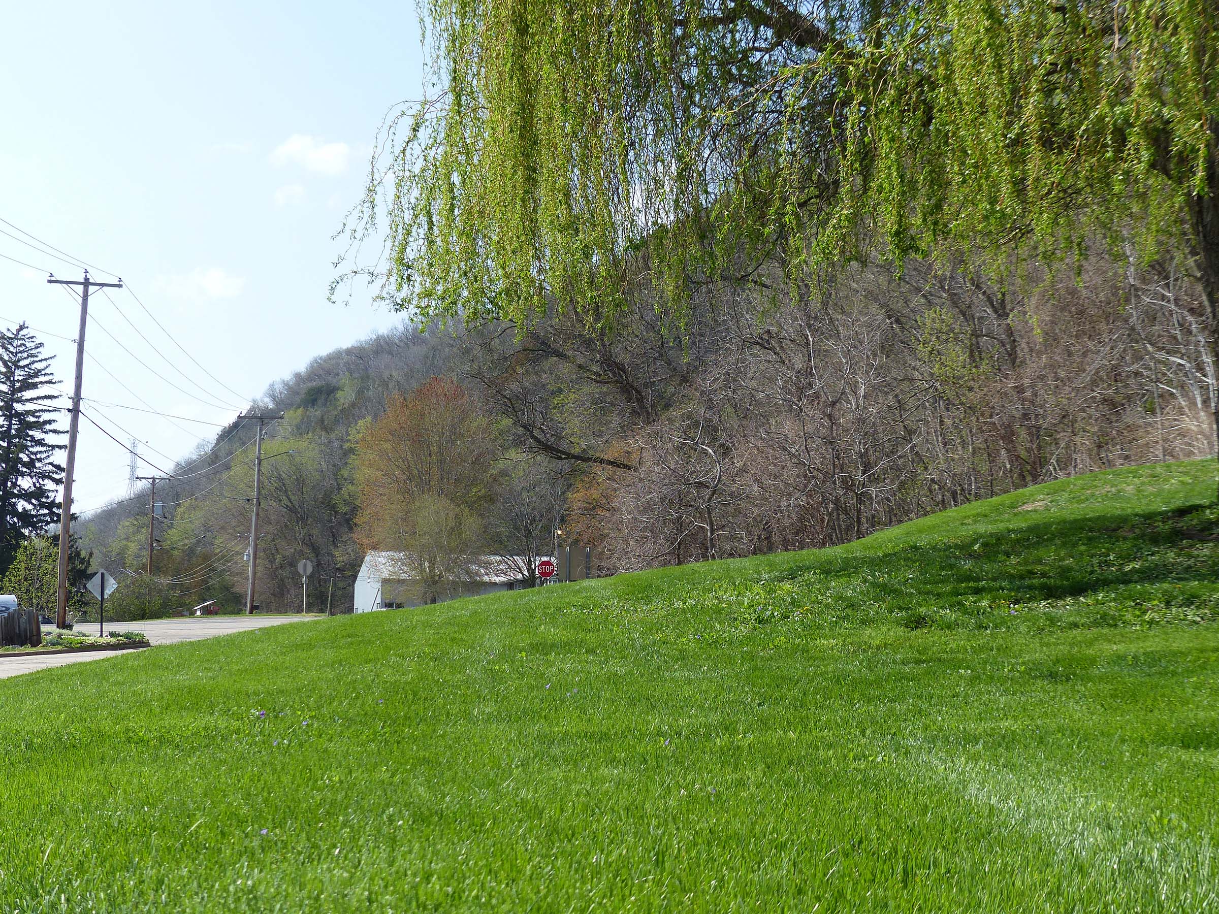 10 May Fresh cut grass