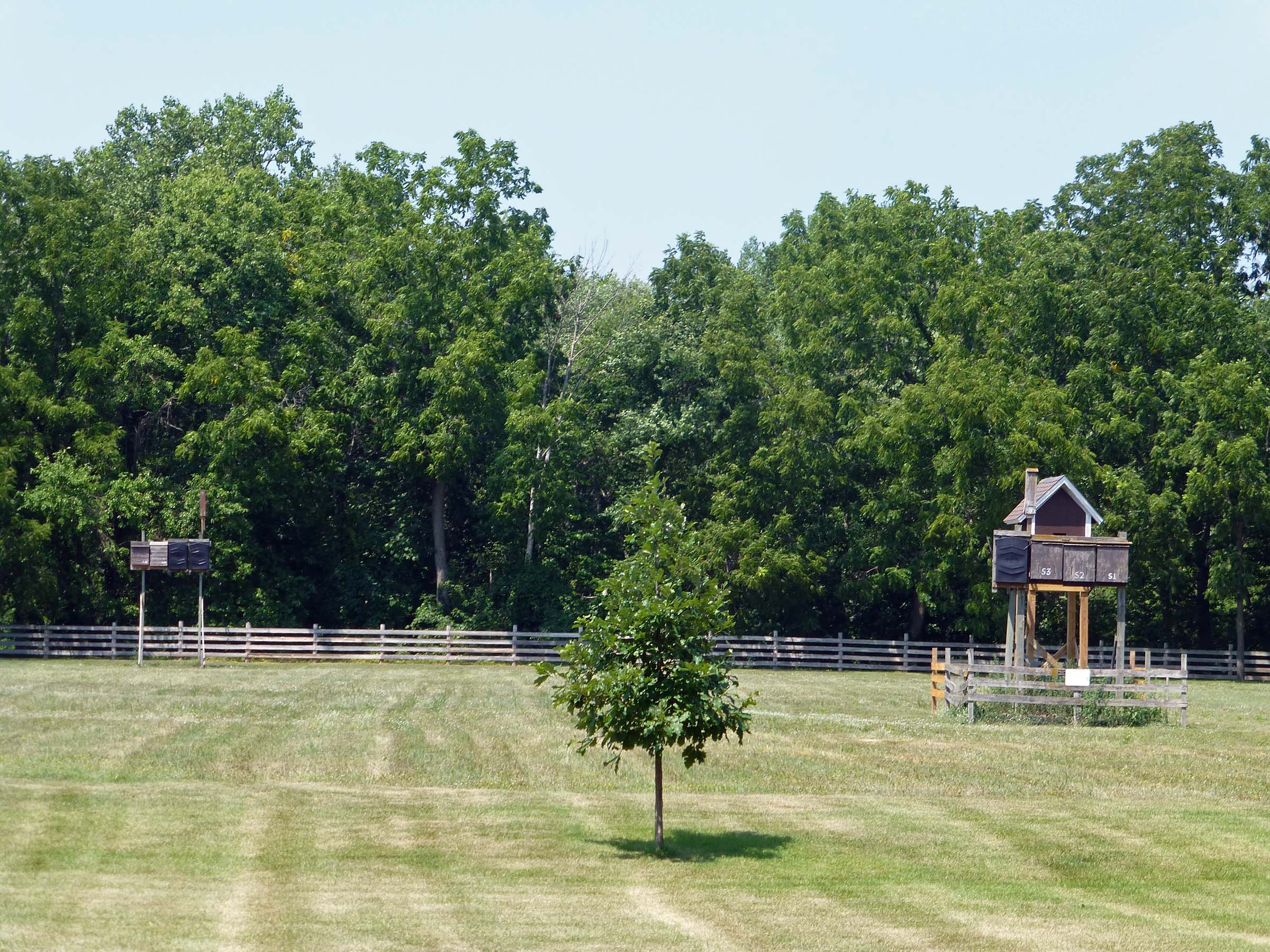 The largest population of bats in Wisconsin
