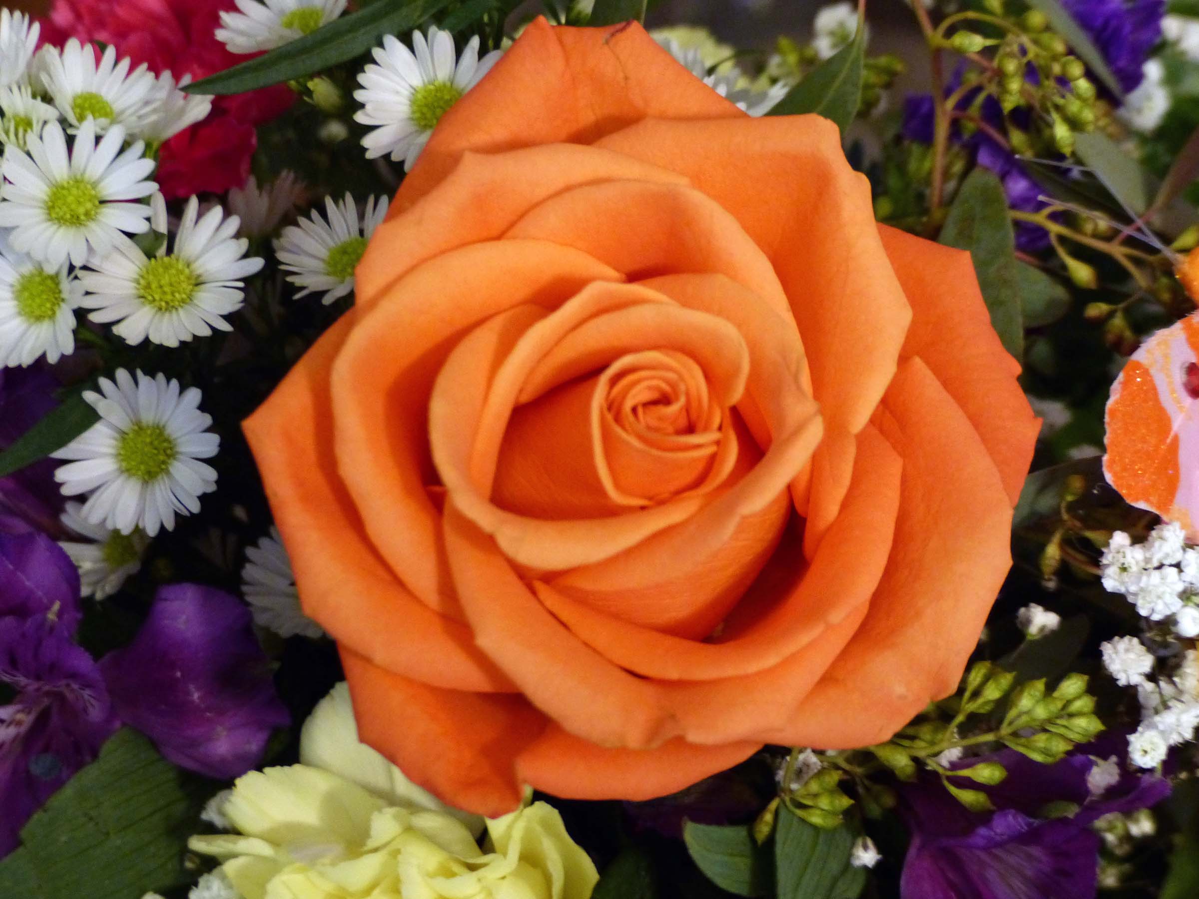 5 Feb A rose by any other name