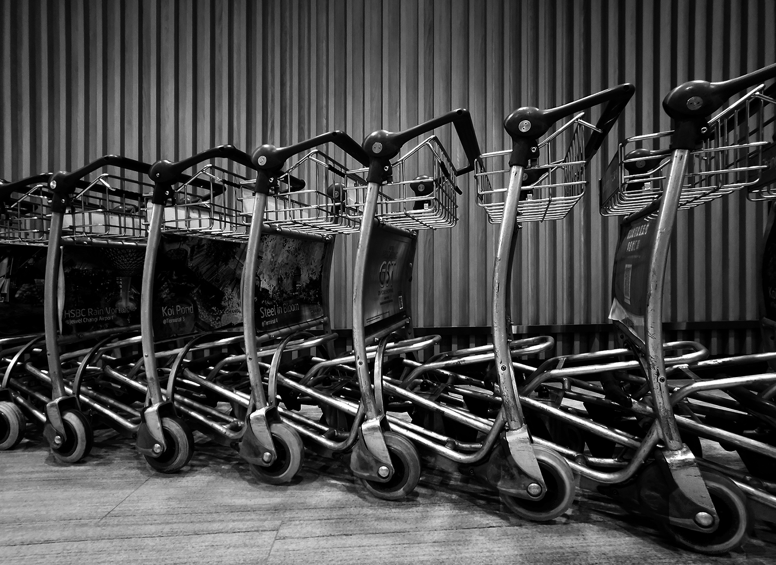 Shopping Trolleys (Carts)