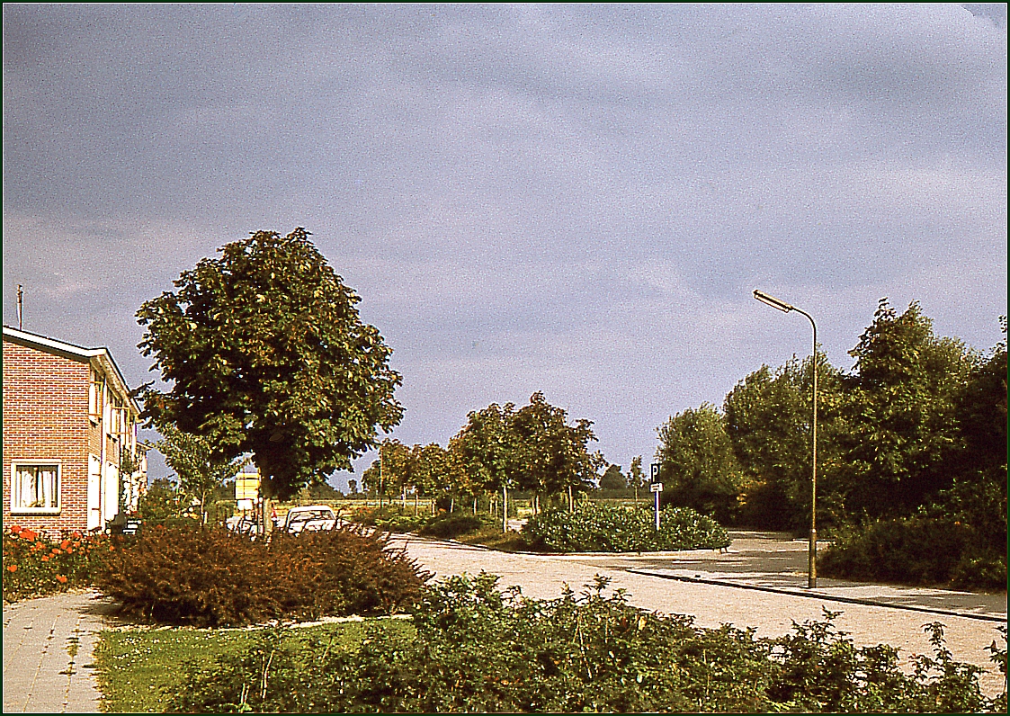 DG 4555.jpg