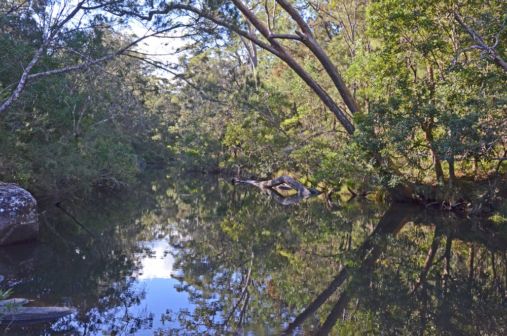 Walsh River reflections