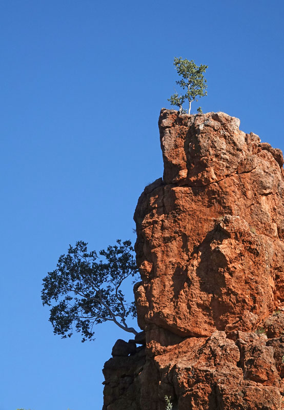 # Cloncurry district #