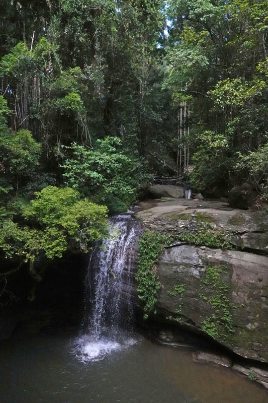 Serenity Falls