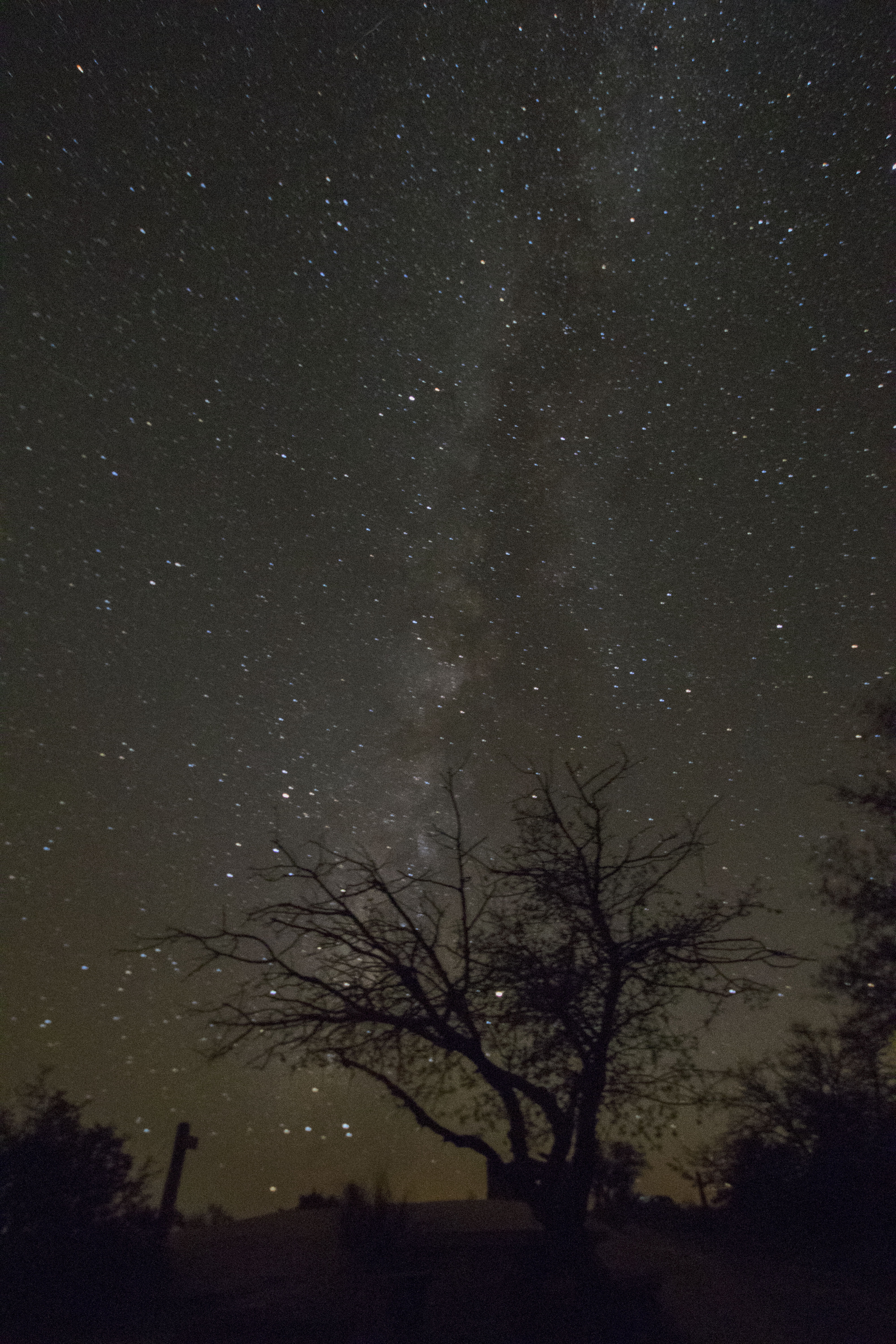 Milky Way from Davis Mtn State Park