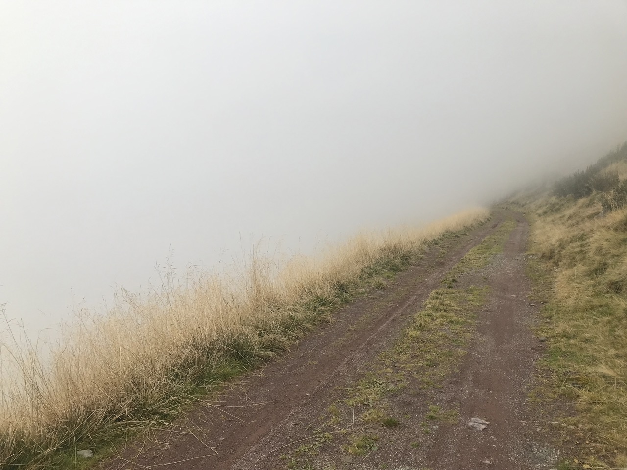 Fog