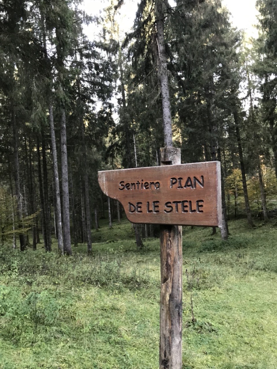Wilderness area
