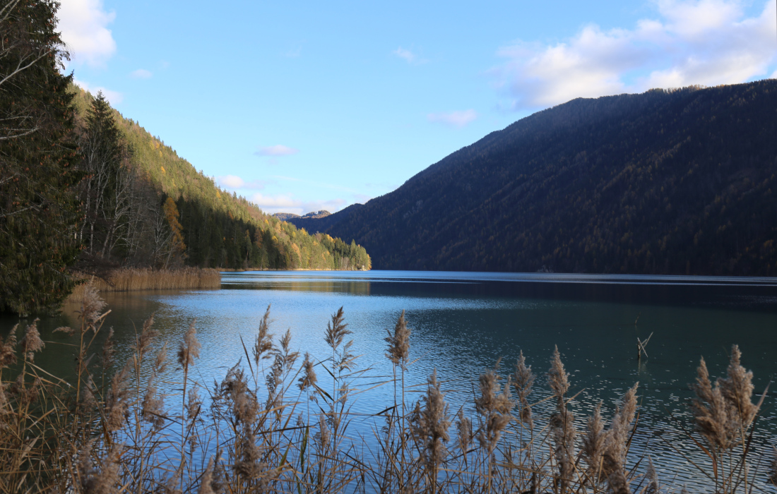 Weissensee (Carinthia)