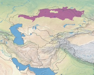 Area of Kazakhstan steppes