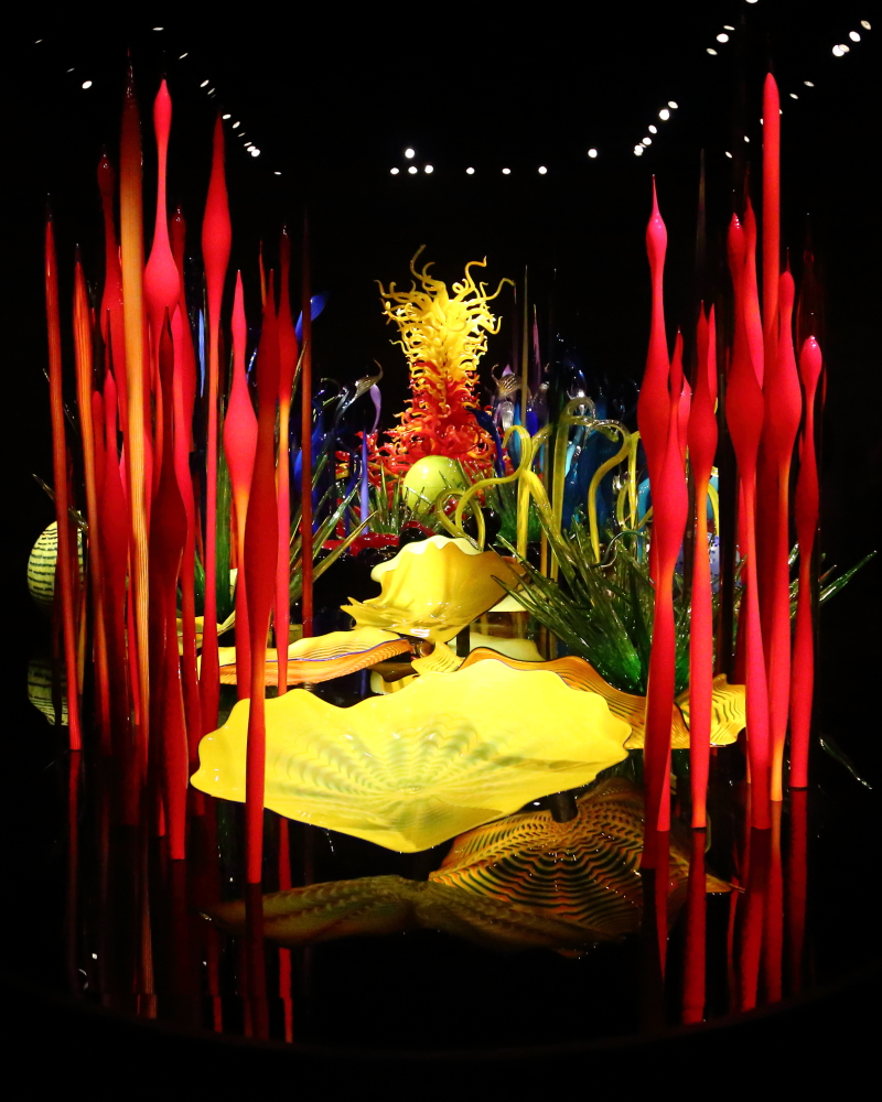 5-1-2019 Chihuly_8524.JPG