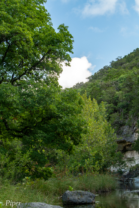 Lost Maples-0046.jpg