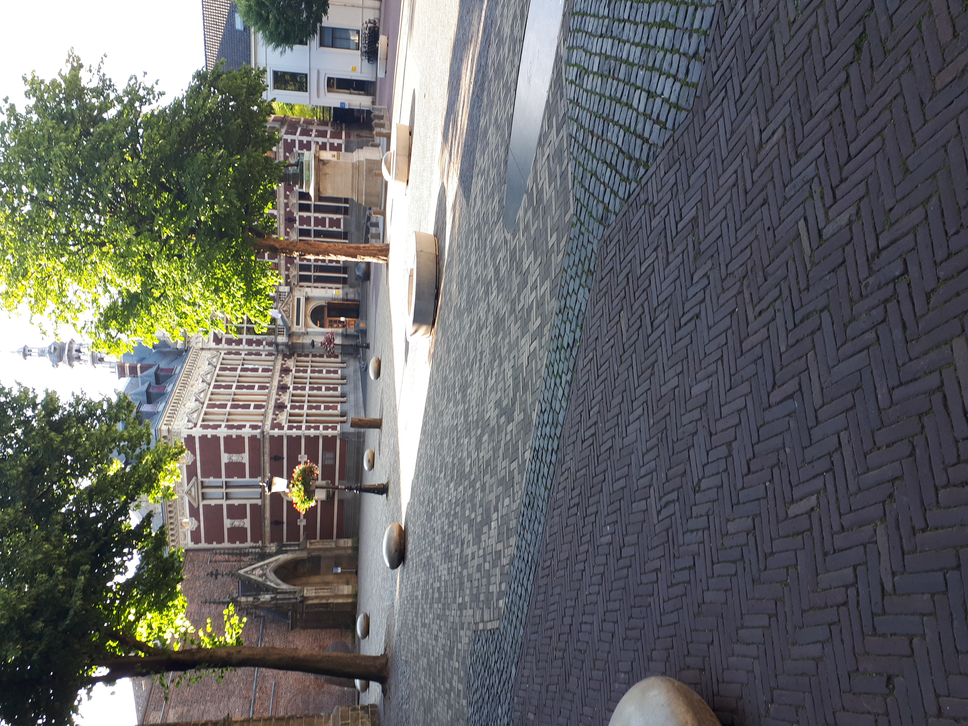20220730_083907.jpg