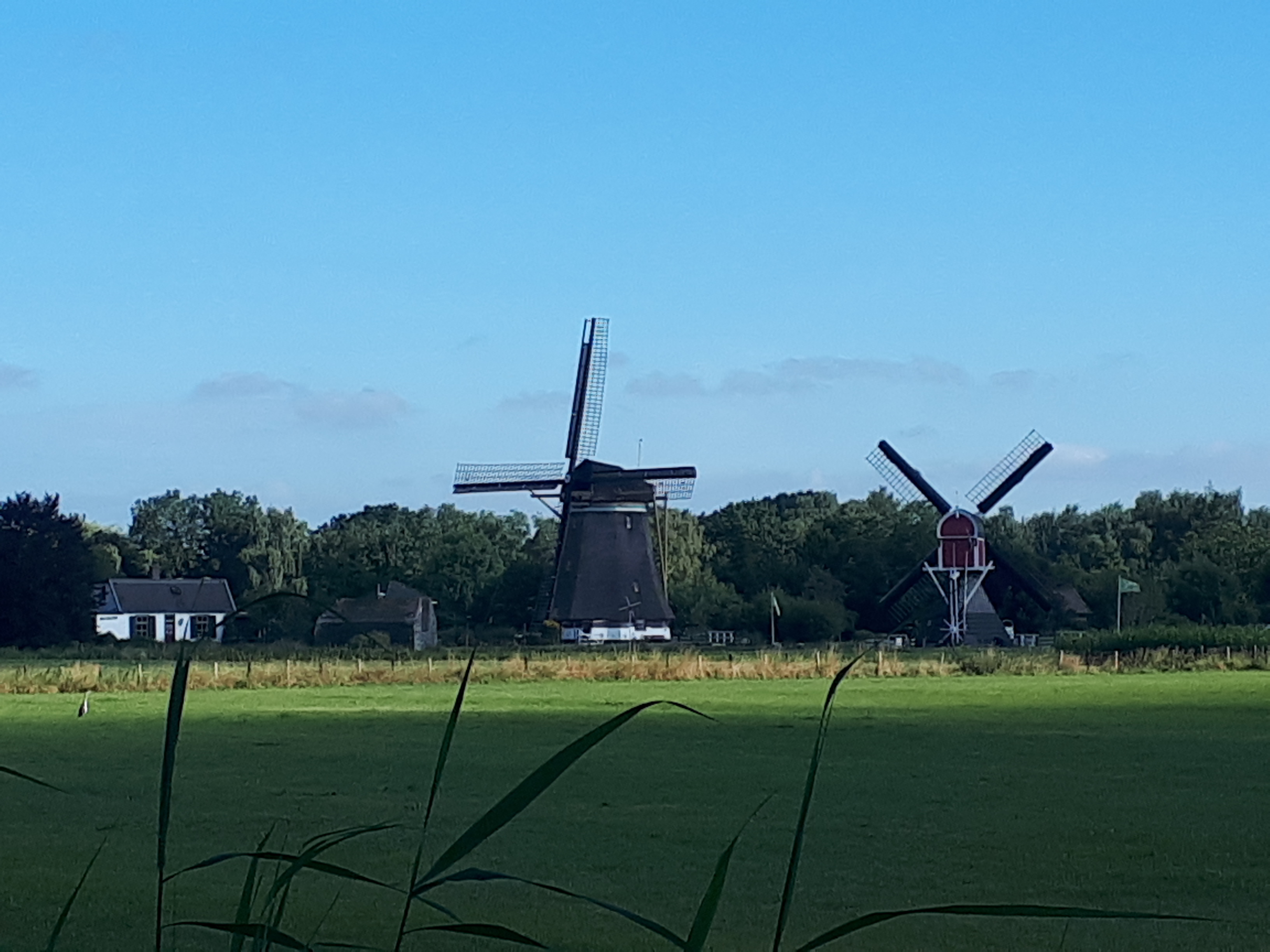20220730_092000.jpg
