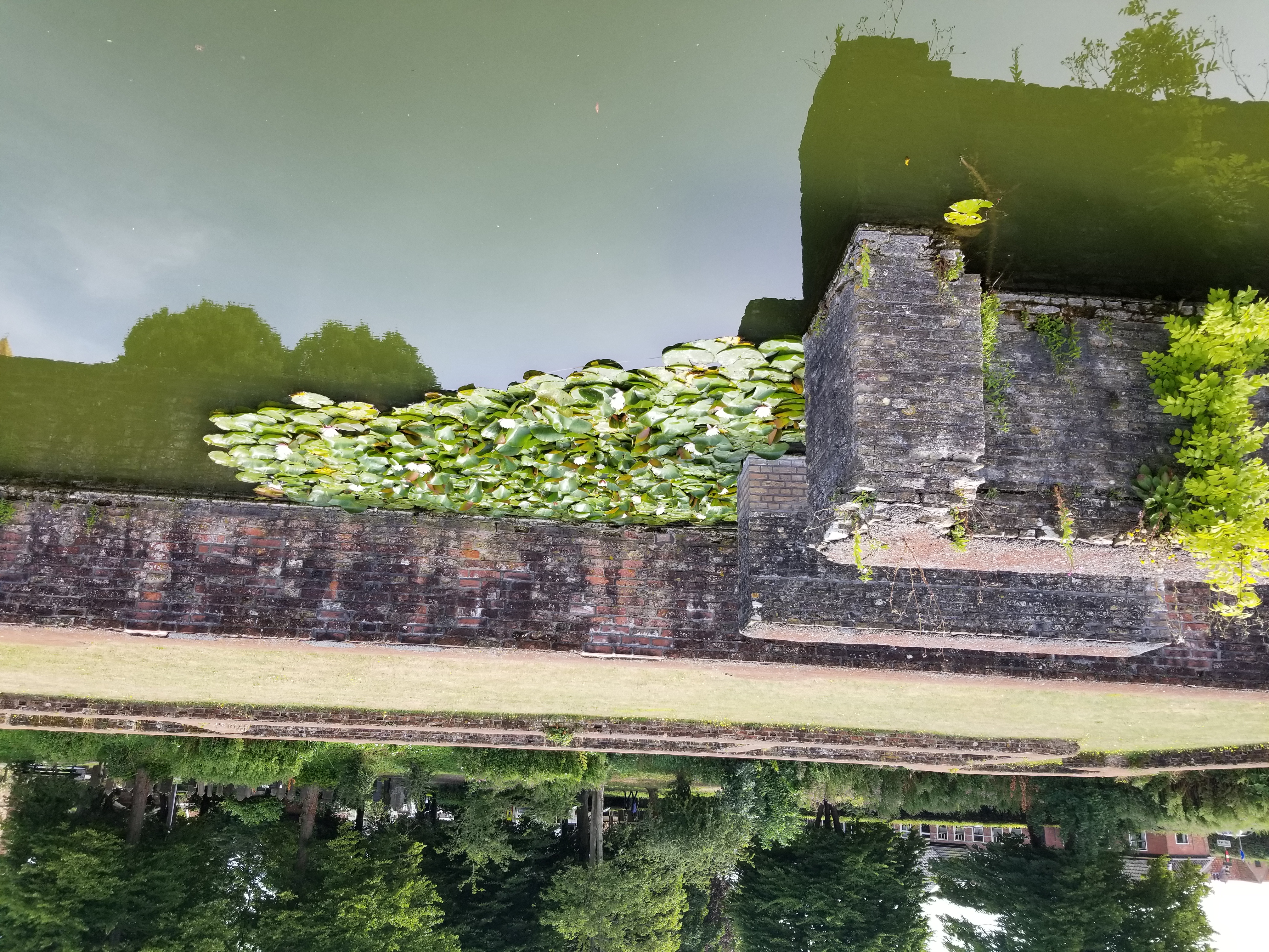 20220801_074700.jpg