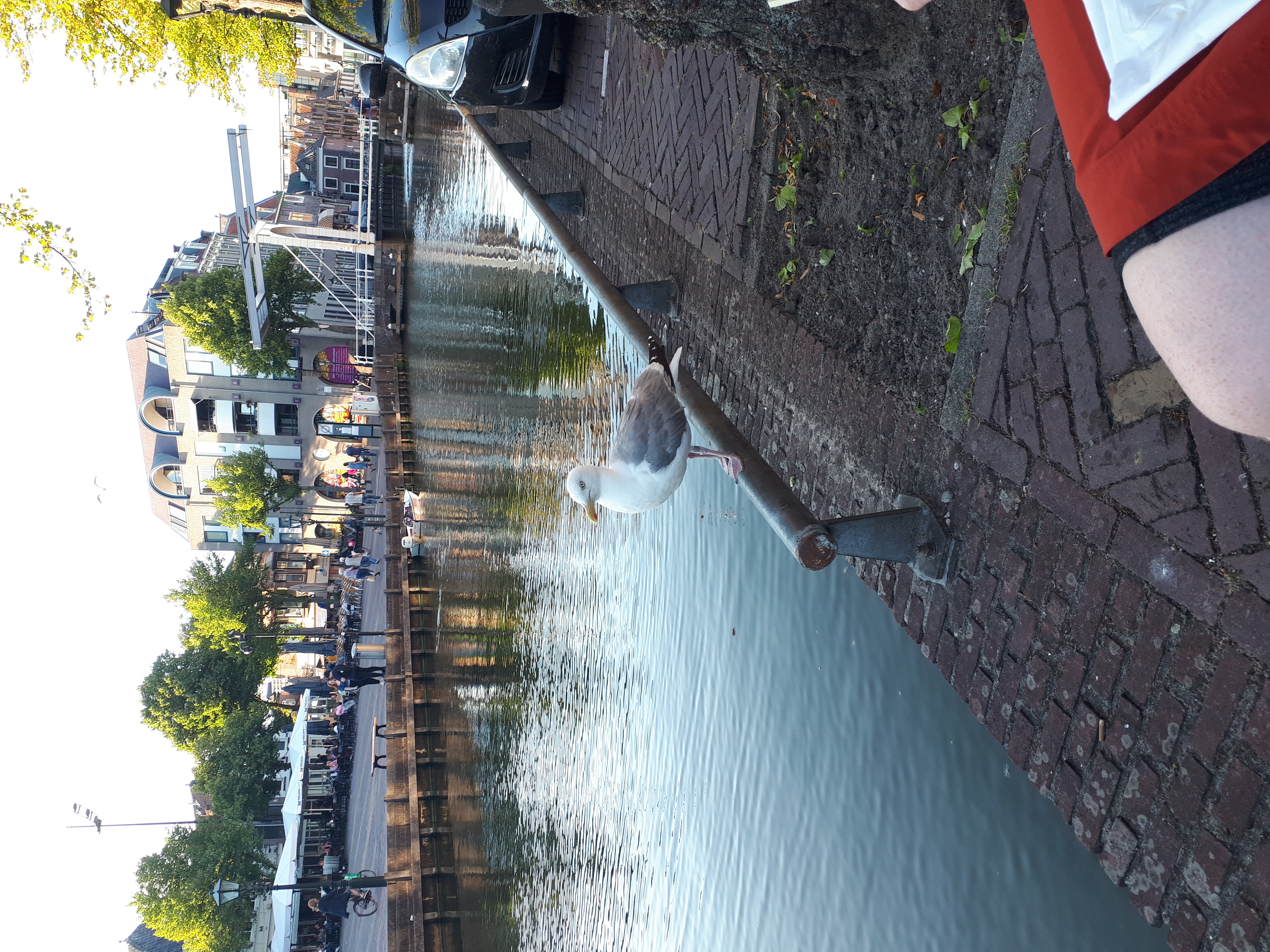 20220801_201206.jpg
