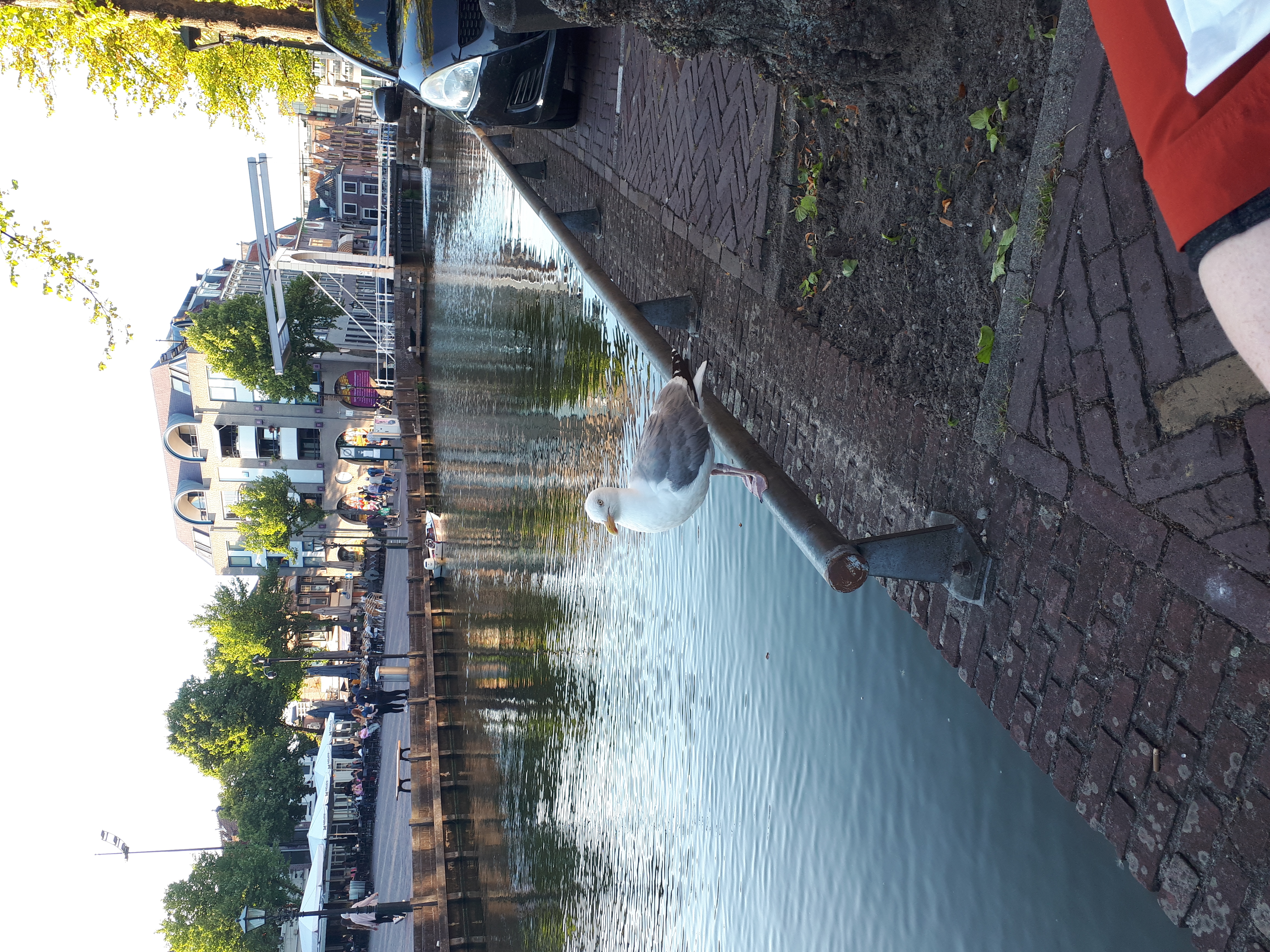 20220801_201217.jpg