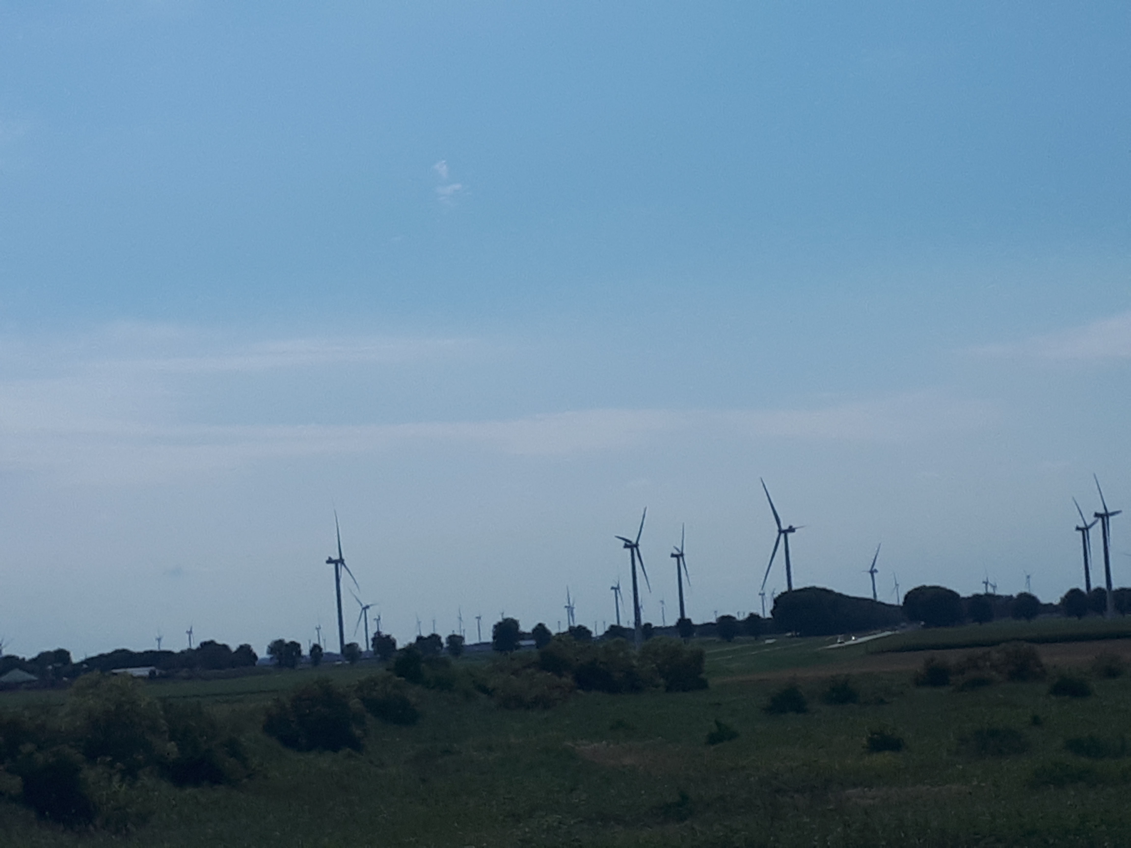 20220804_152804.jpg