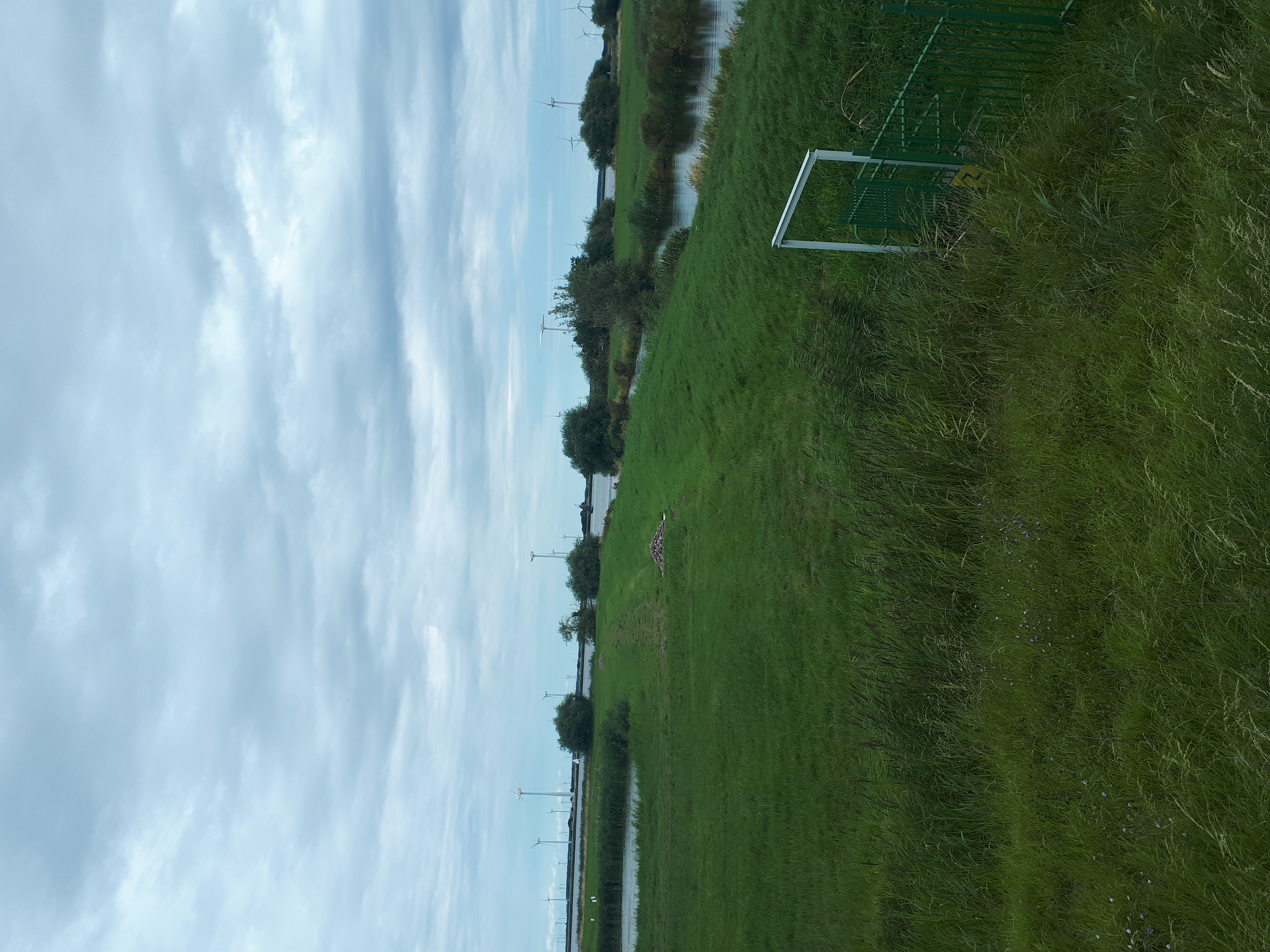20220805_130010.jpg
