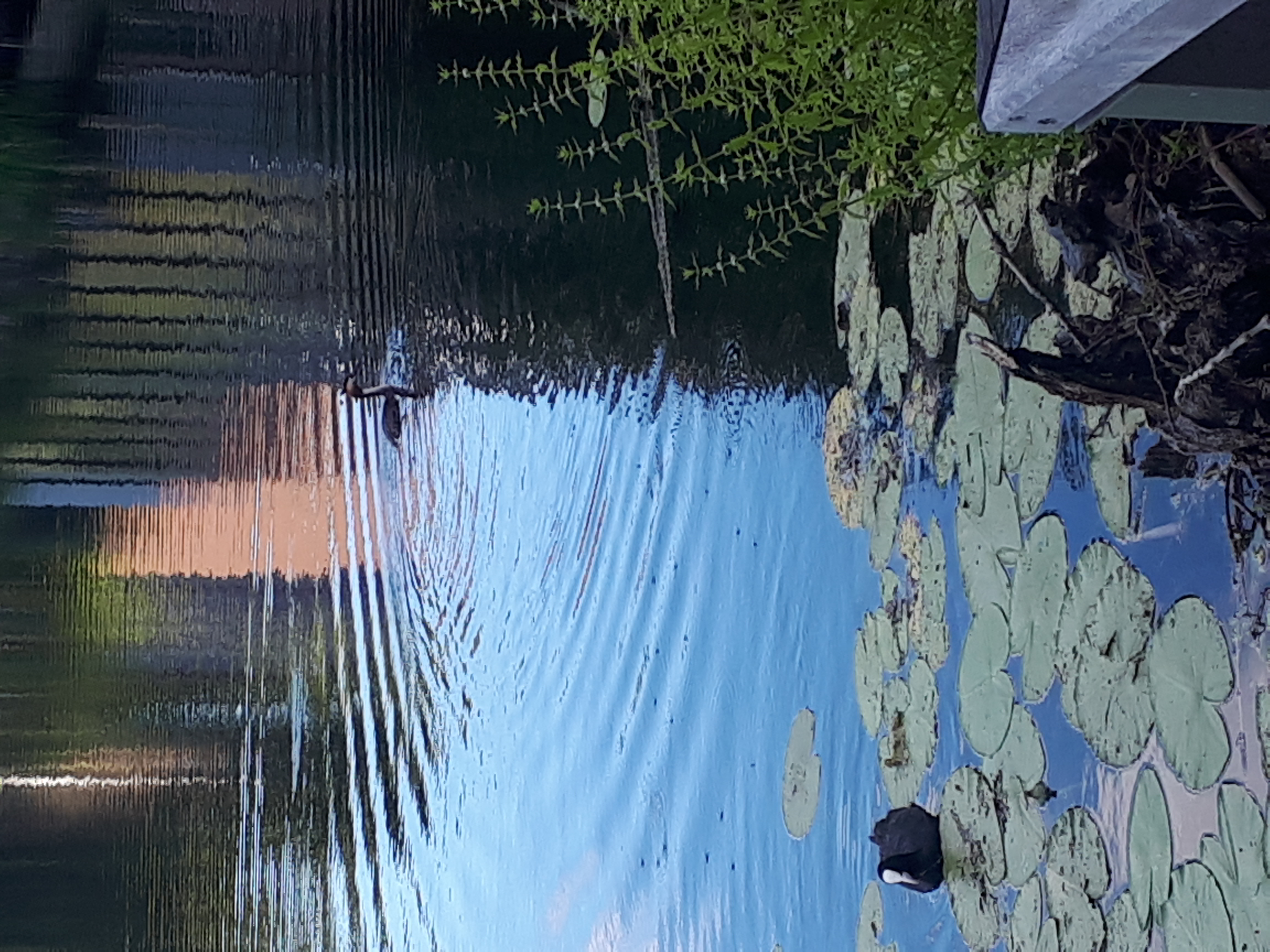 20220805_193551.jpg