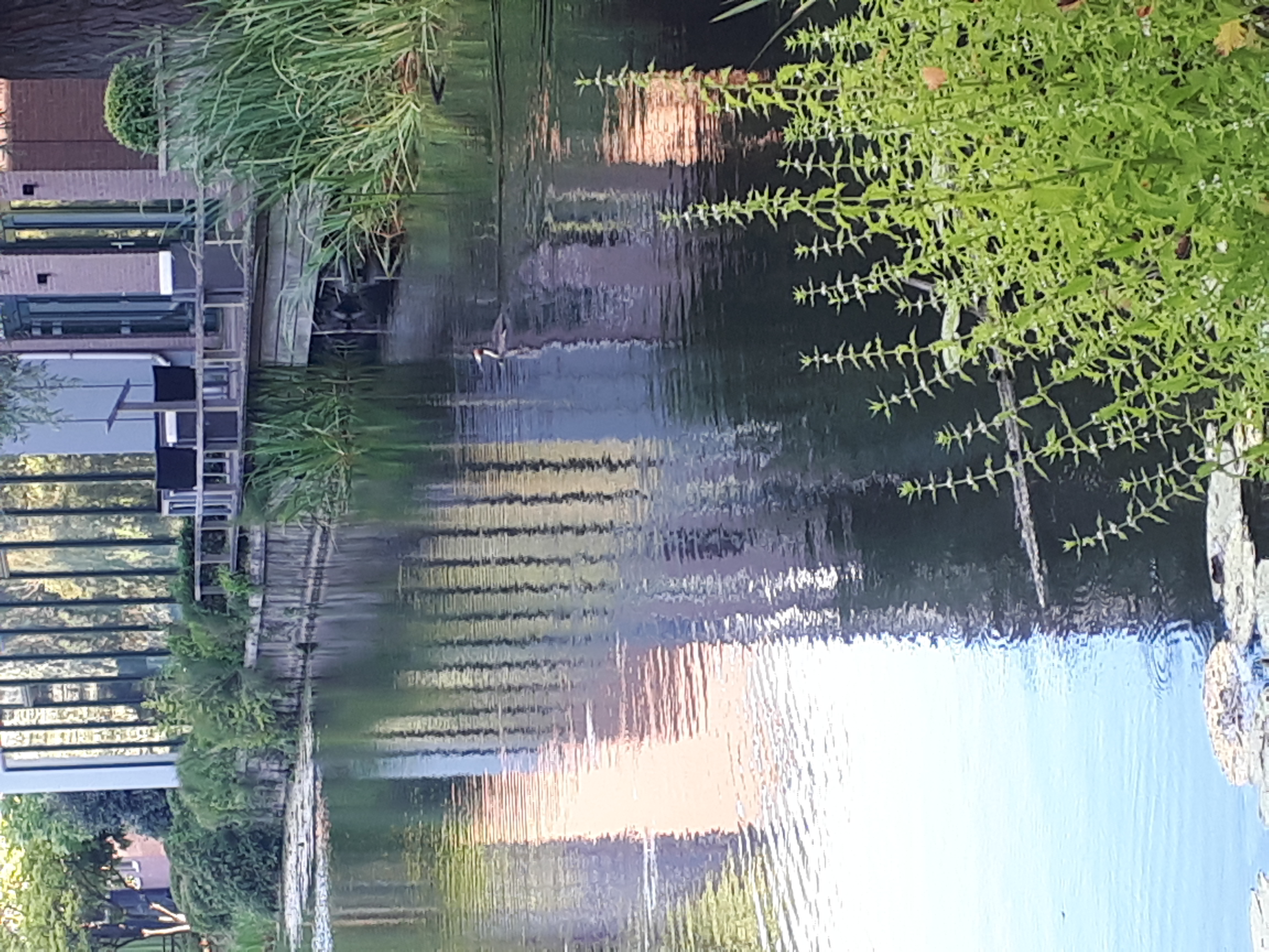 20220805_193620.jpg
