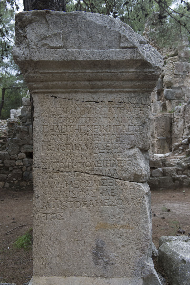 Phaselis December 2013 4741.jpg