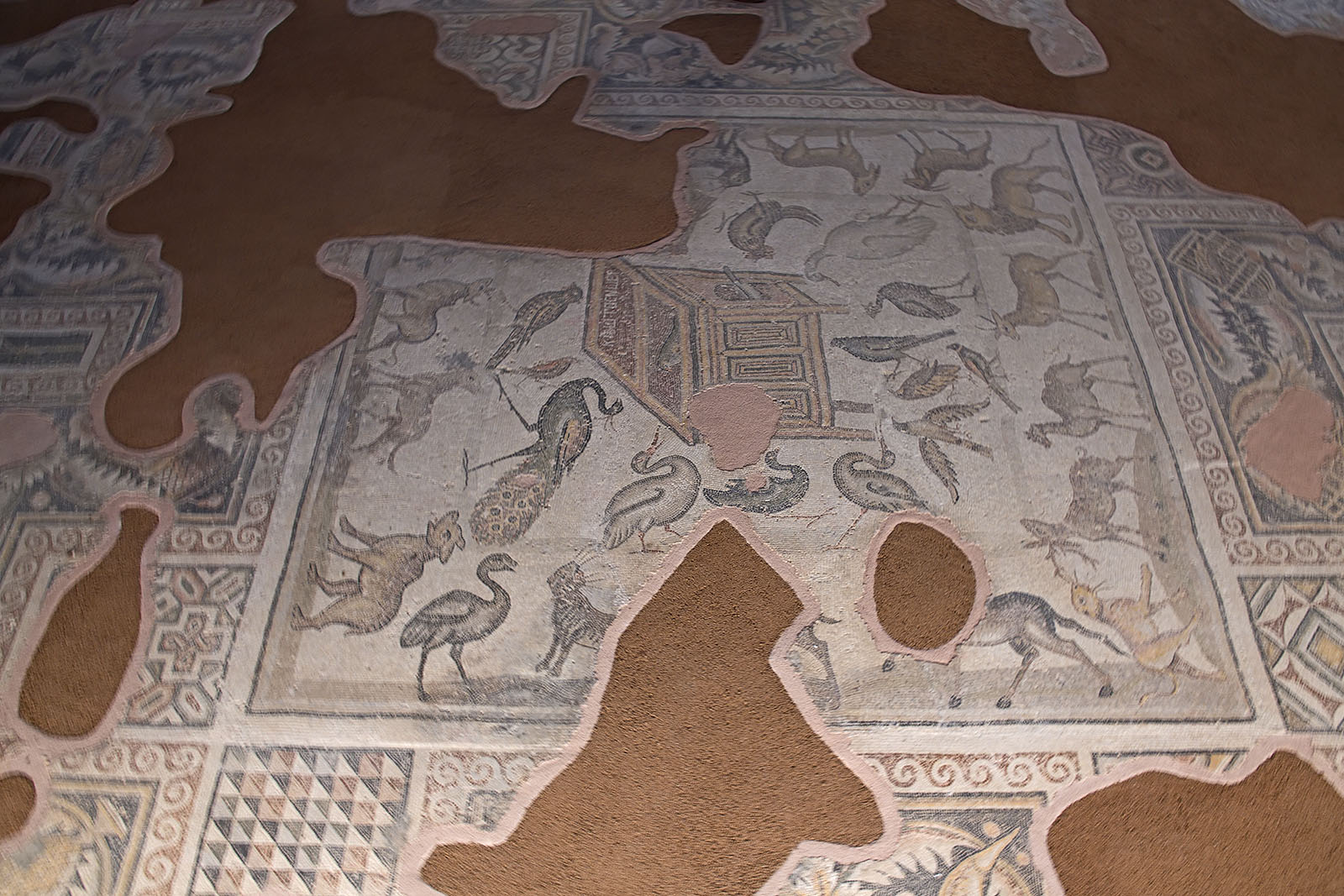 Adana Archaeological Museum Noahs Ark Mosaic 0338.jpg