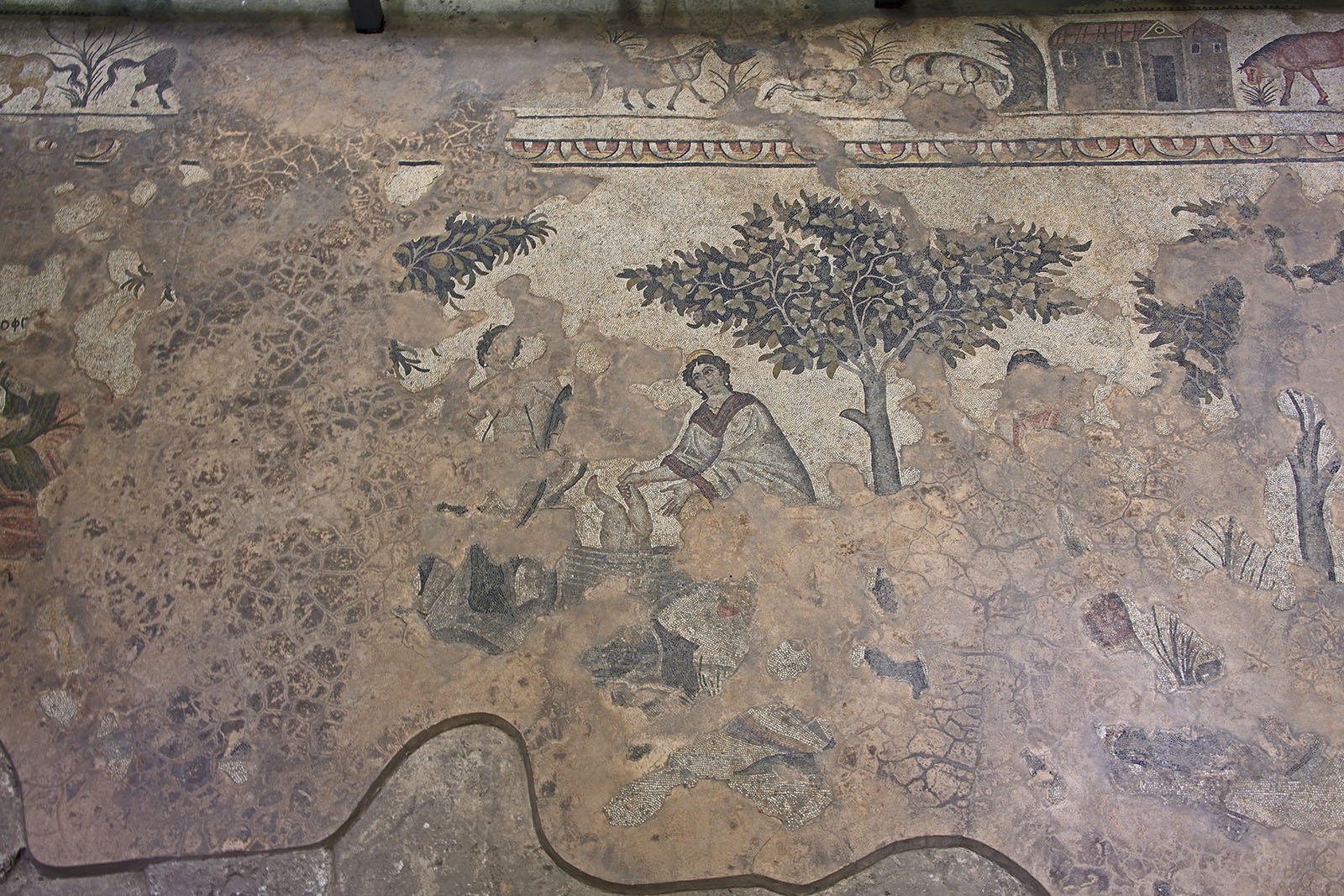 Urfa Haleplibahce Museum Achilles mosaic sept 2019 5104.jpg