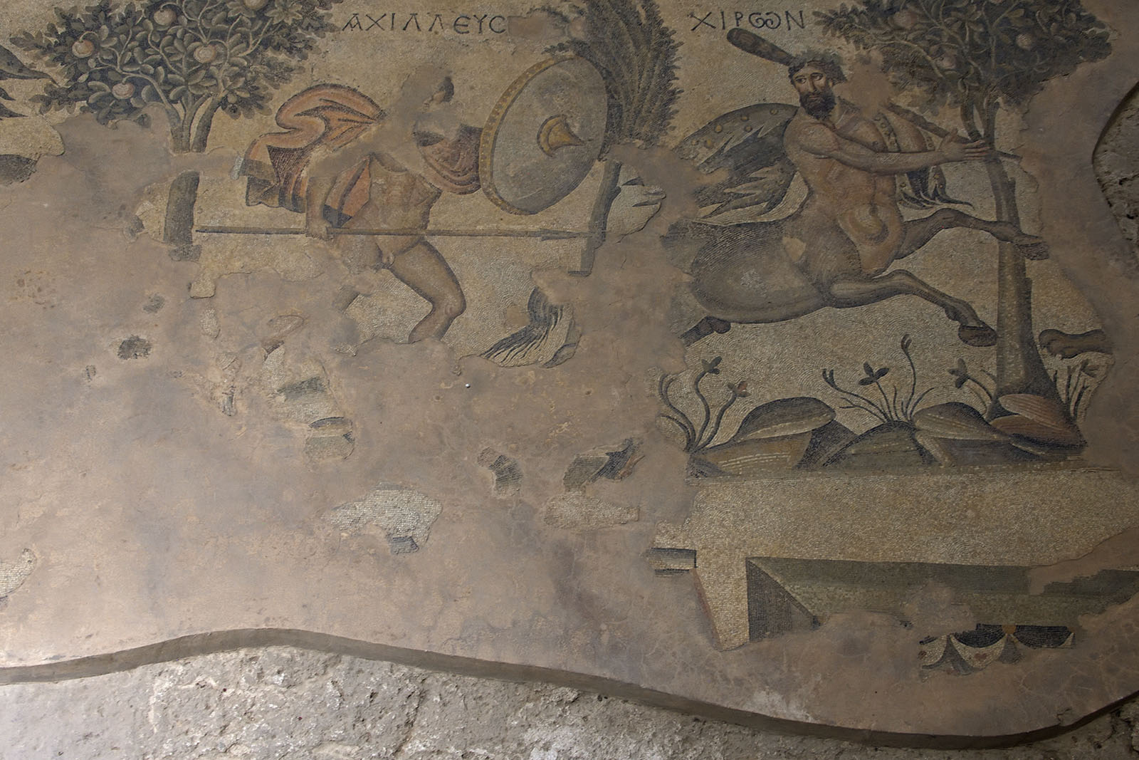 Urfa Haleplibahce Museum Achilles mosaic sept 2019 5117.jpg