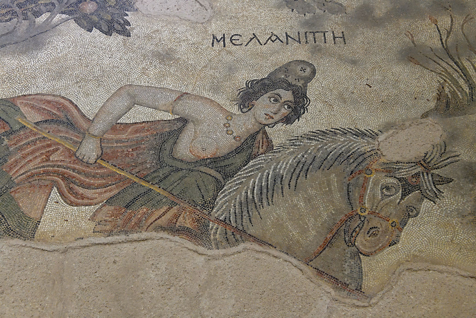 Urfa Haleplibahce Museum Hunting Amazons mosaic sept 2019 5180.jpg