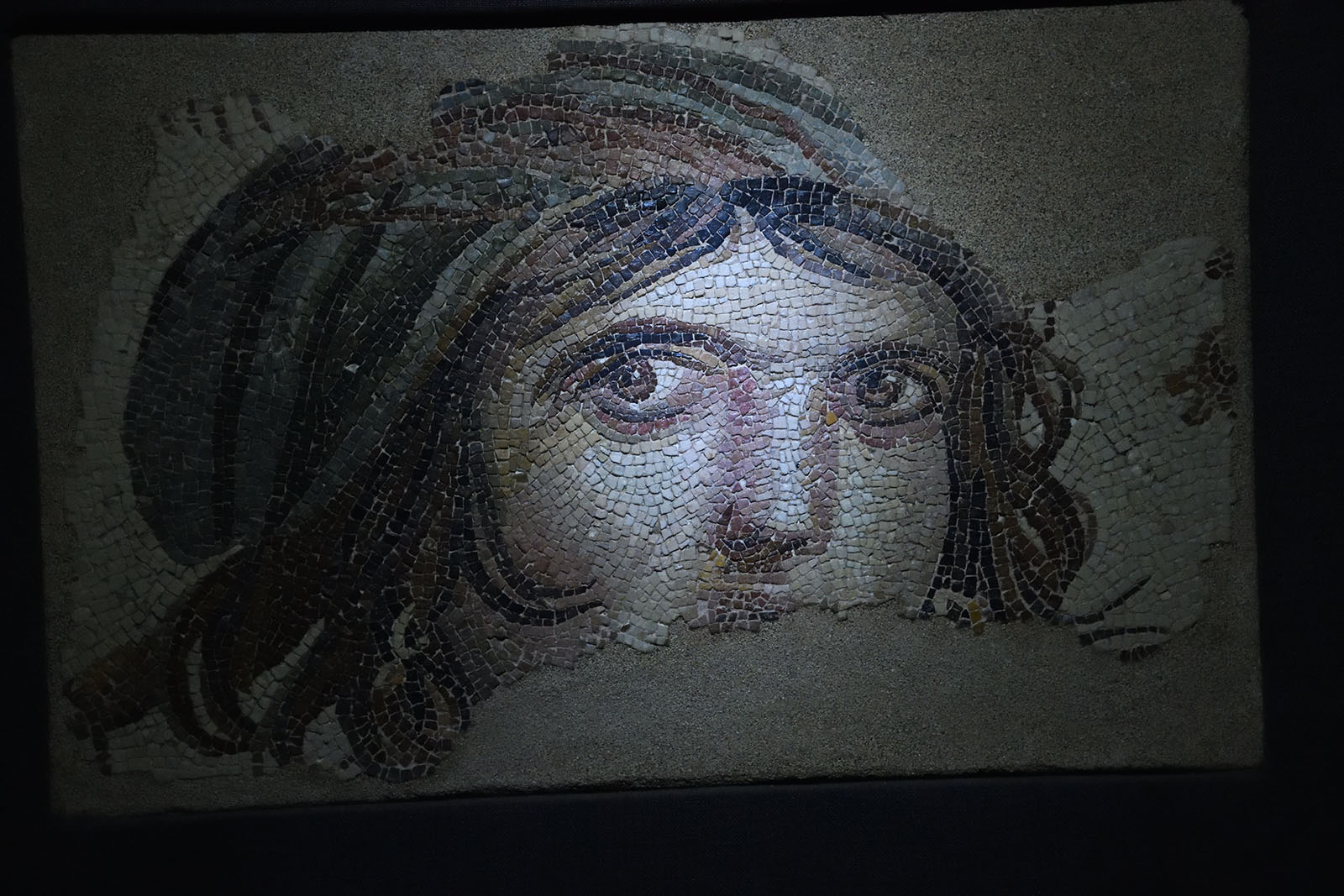 Gaziantep Zeugma museum Gypsy mosaic sept 2019 4108.jpg