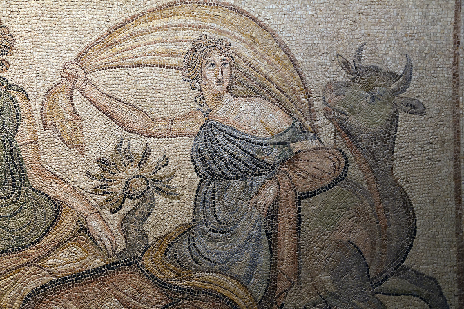 Gaziantep Zeugma museum Zeus and Europa mosaic sept 2019 4107.jpg