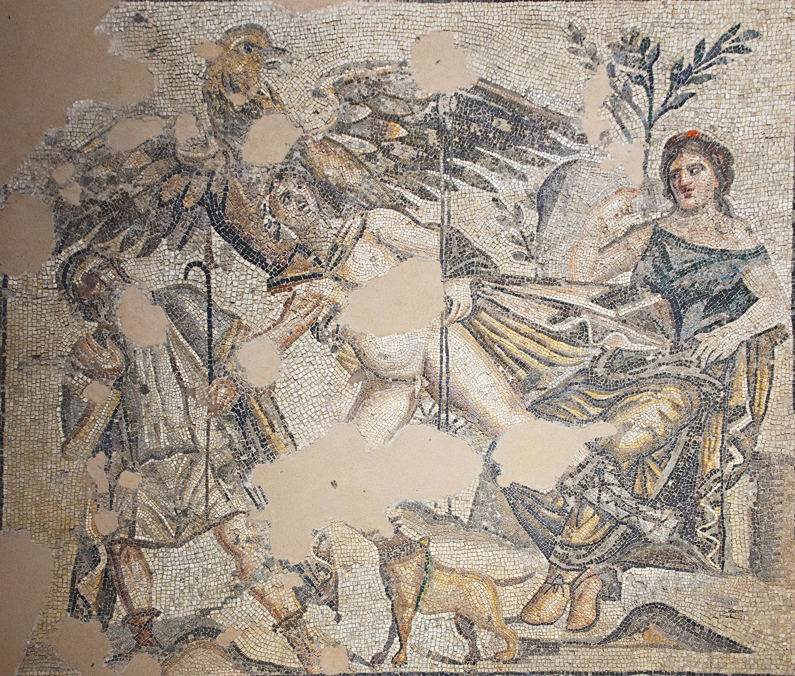 Antakya Archaeology Museum Ganymede mosaic sept 2019 6021.jpg