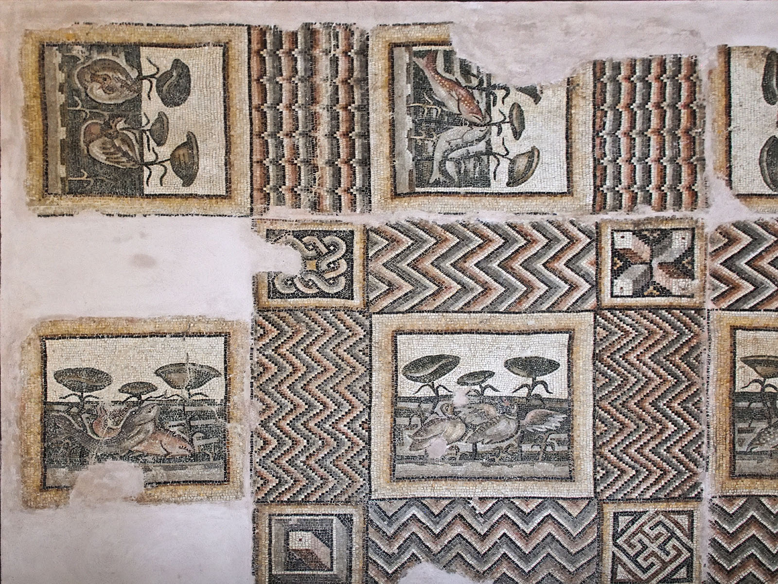 Antakya Archaeology Museum inv 898-901 mosaic sept 2019 6163.jpg
