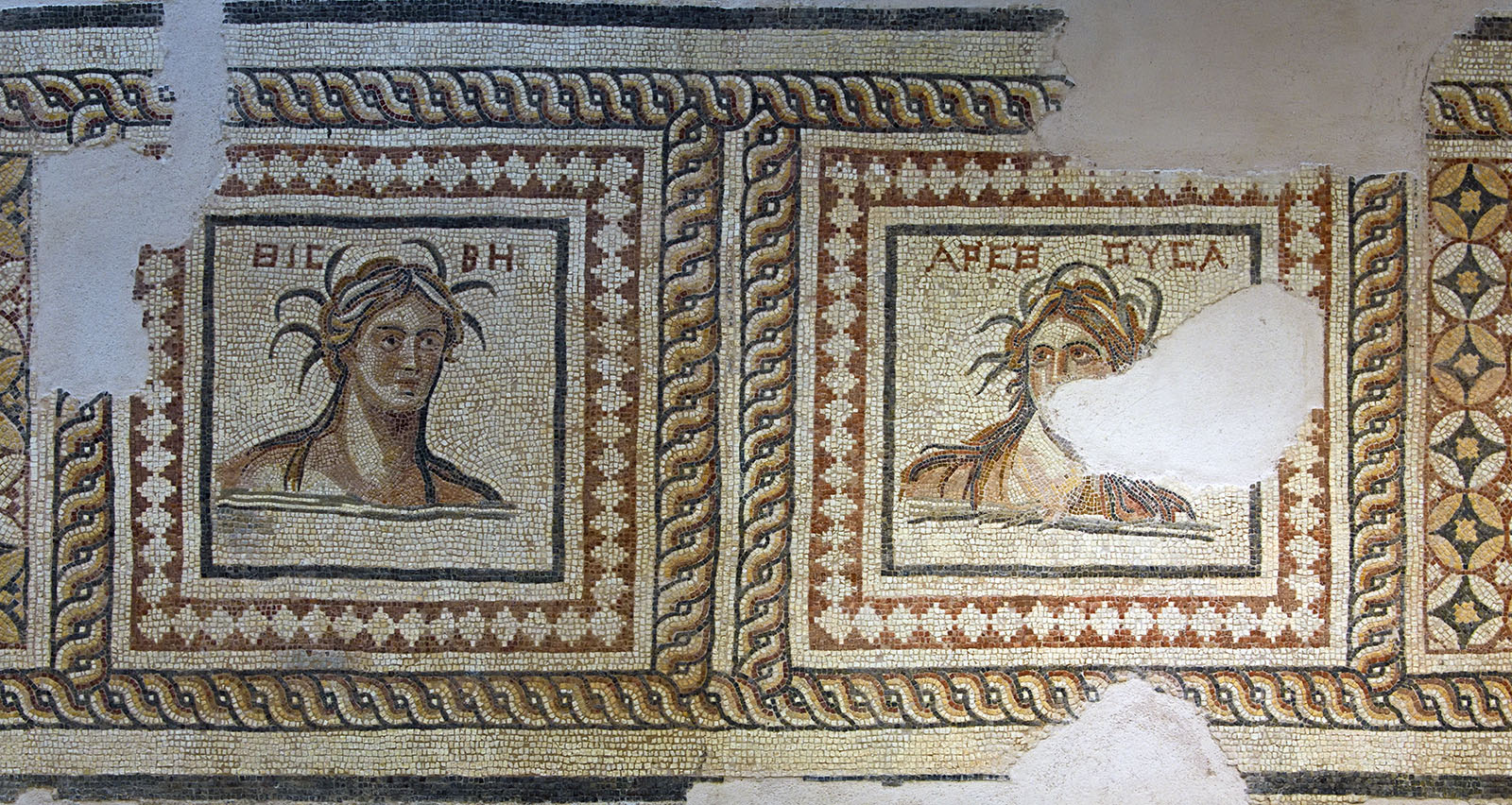 Antakya Archaeology Museum Greek mosaic sept 2019 5926.jpg