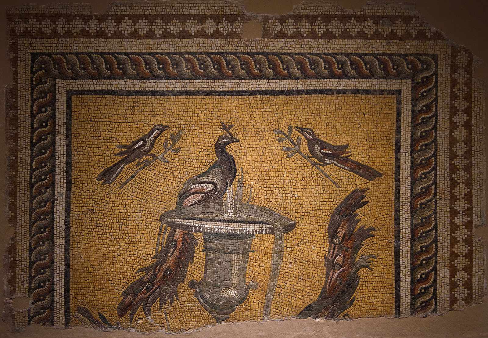 Antakya Archaeology Museum Peacock and other birds mosaic sept 2019 6125.jpg