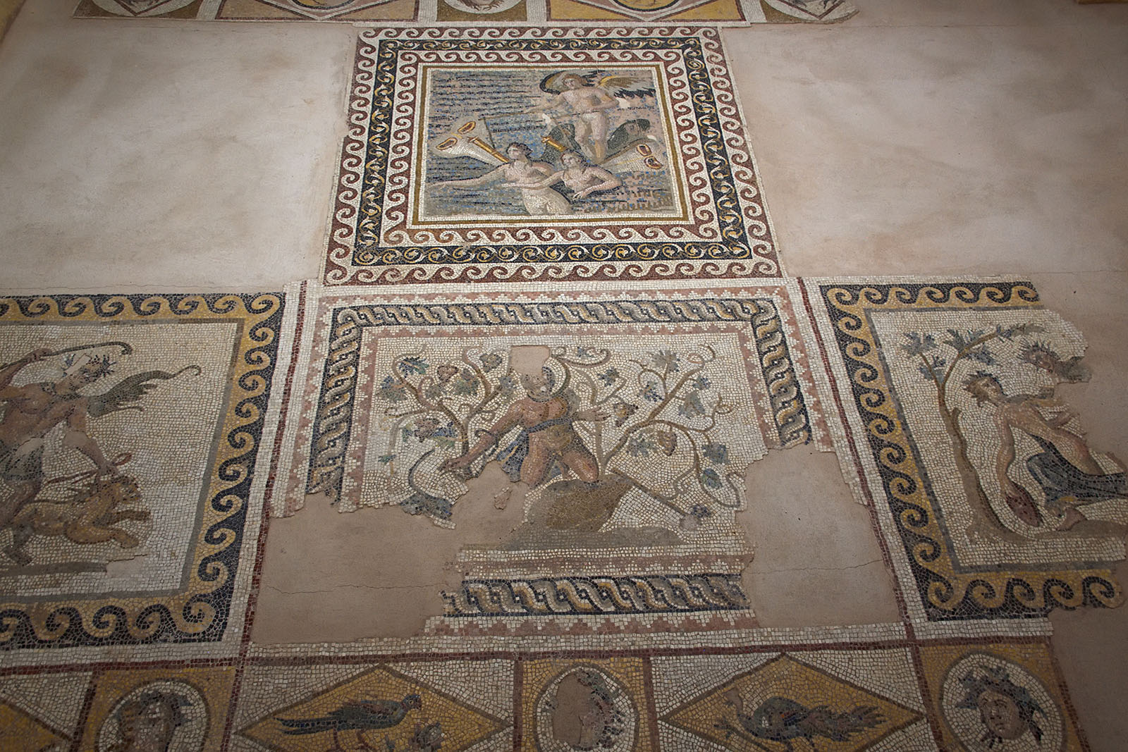 Antakya Archaeological Museum Satyr et al mosaic sept 2019 5876.jpg
