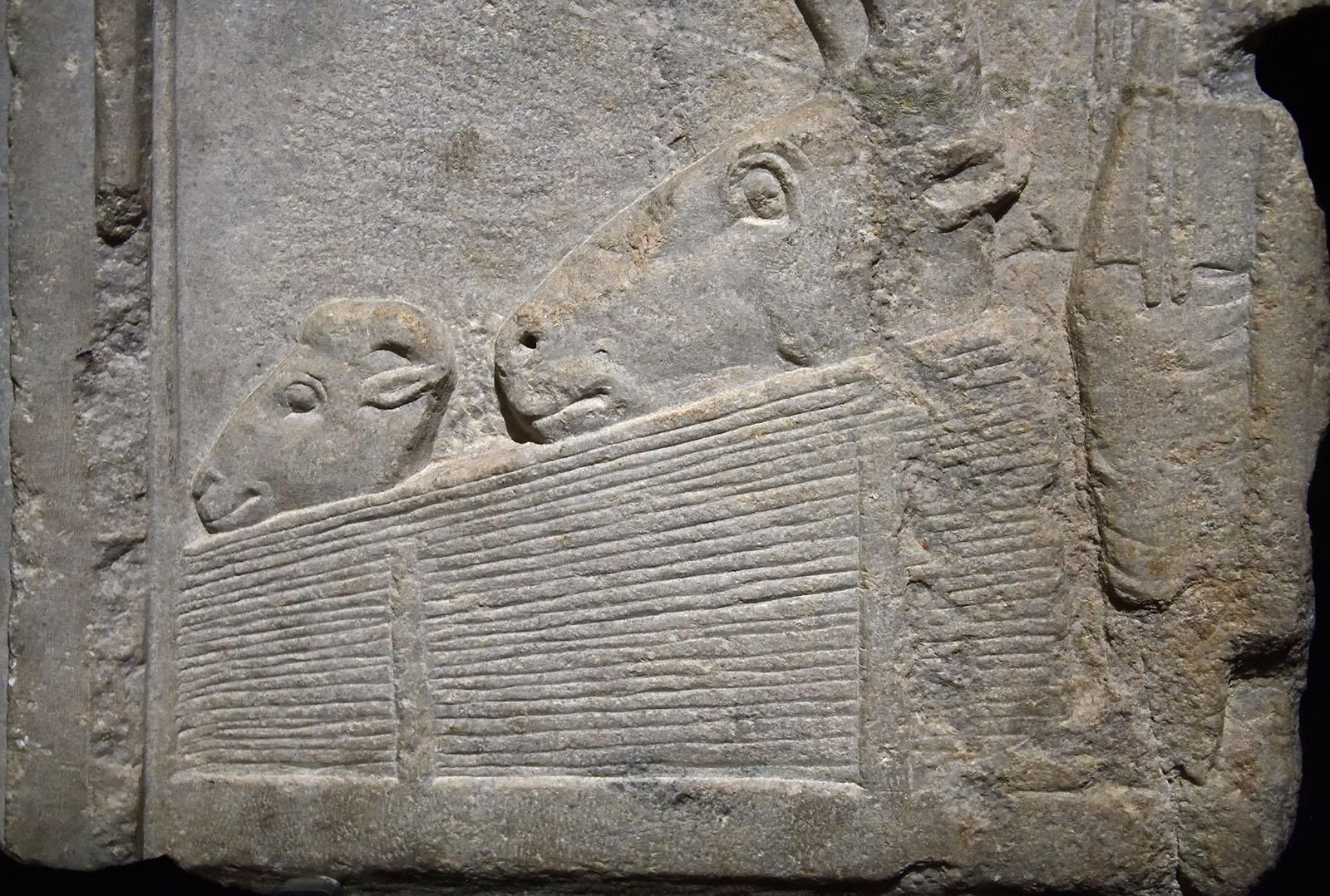 Istanbul Archaeology Museum Ritual Museum sacrifice Late 5th C BCE Dascyleum 3602.jpg