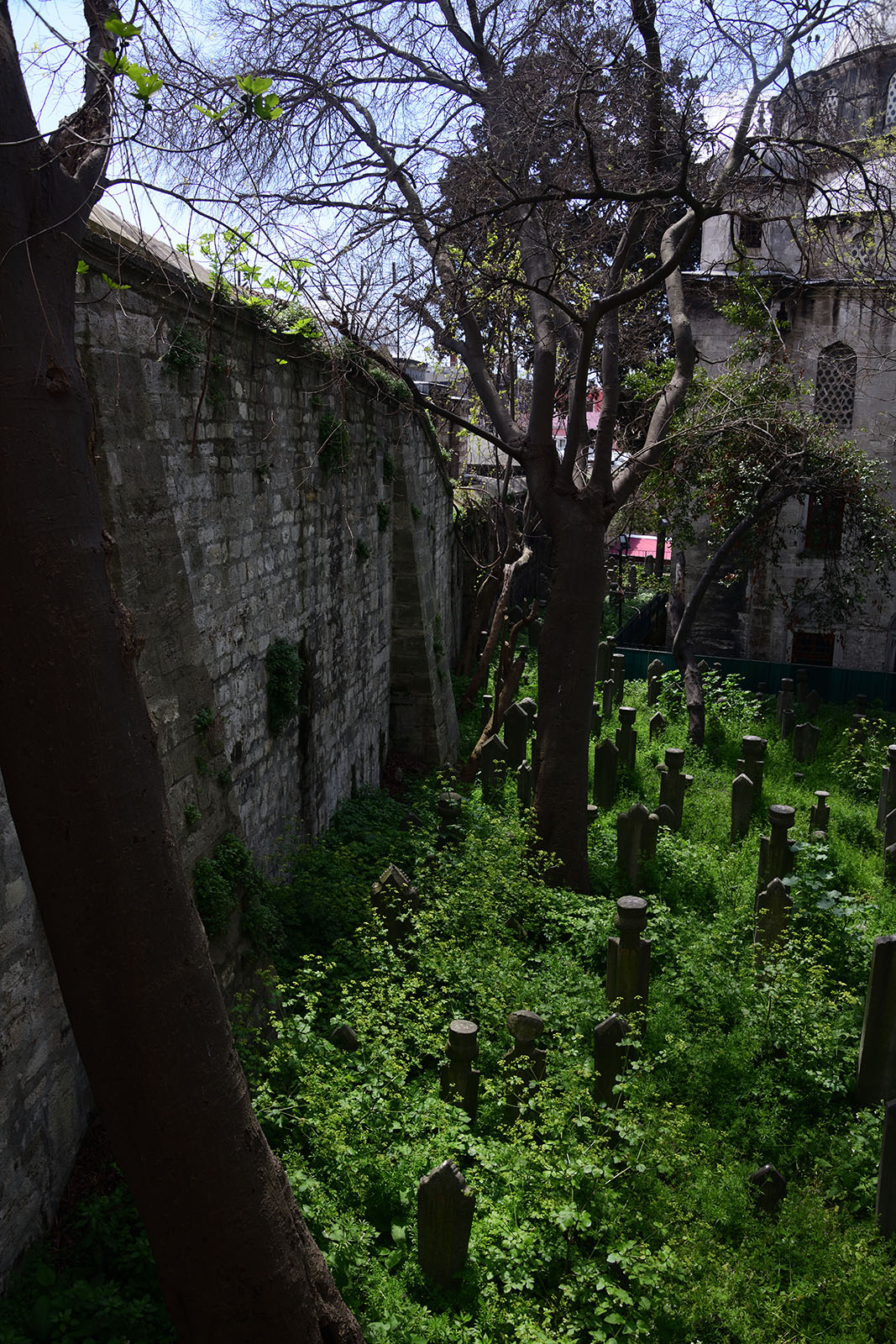 Istanbul Sokollu Mehmet Pasha mosque graveyard to its side 3862.jpg