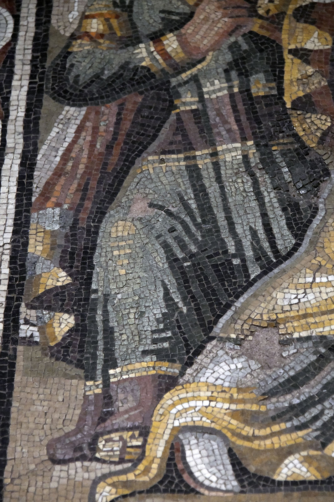 Gaziantep Zeugma Museum Achilles mosaic in 2024 7898.jpg