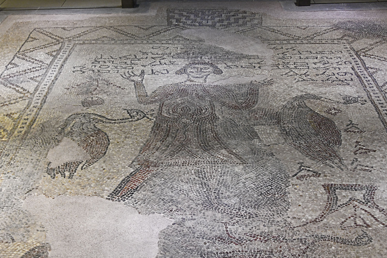 Gaziantep Zeugma Museum Man with peacock mosaic in 2024 7943.jpg