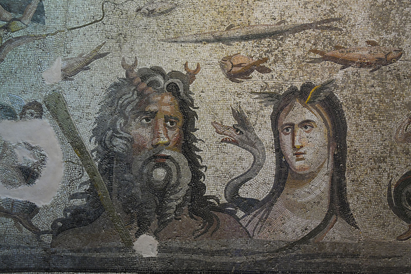 Gaziantep Achaeological Museum Oceanus and Thetys mosaic Oceanus, Thetys and dragon Cetos in 2024 7824.jpg