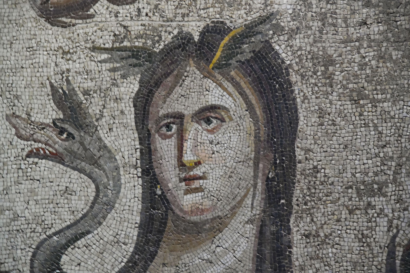 Gaziantep Achaeological Museum Oceanus and Thetys mosaic Thetys and dragon Cetos in 2024 7823.jpg