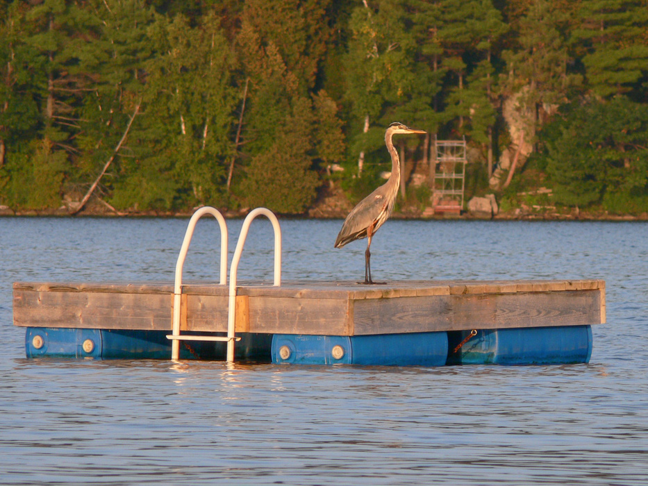 P1050533.jpg