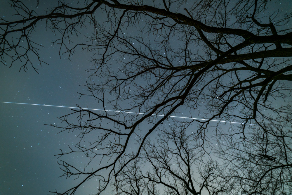 _DSC4145B.jpg