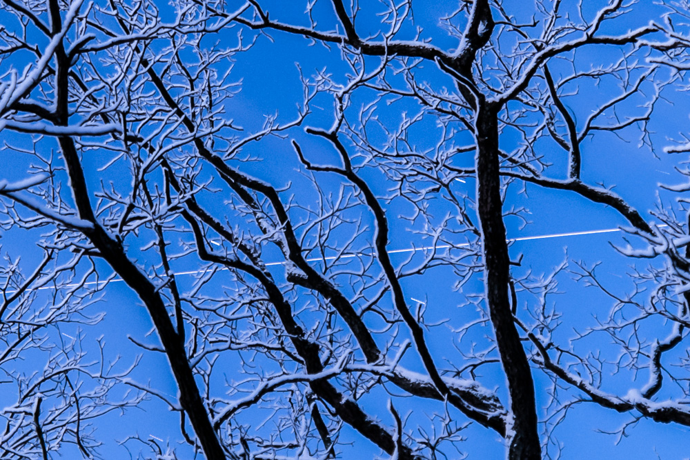 _DSC4313.jpg