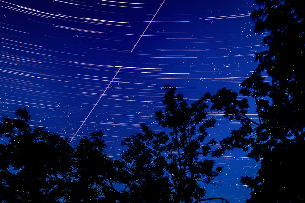 StarsPlanesAndFireflies.jpg