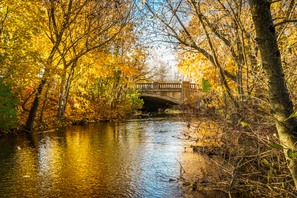 _DSC5102.jpg