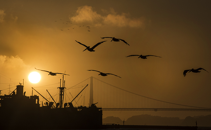 Fisherman's Wharf, San Francisco